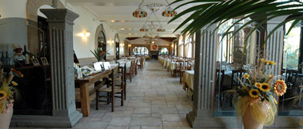 Stunning brunette beauty posing over urban background