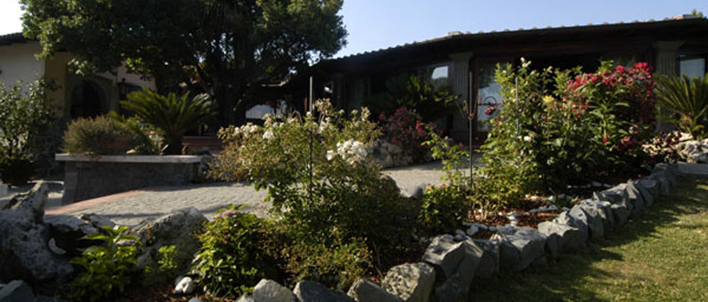 Stunning brunette beauty posing over urban background