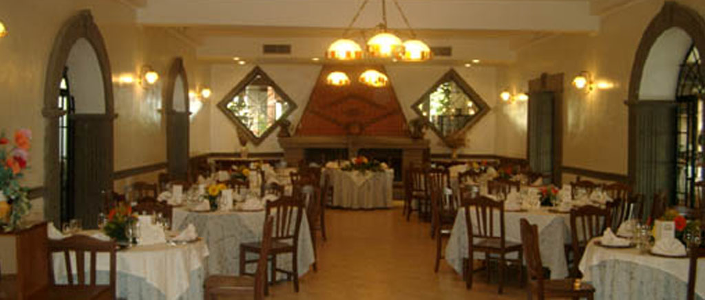 Stunning brunette beauty posing over urban background